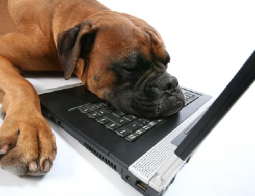 The Definitive Guide to Constant Contact and How to Integrate It Into Your WordPress Site