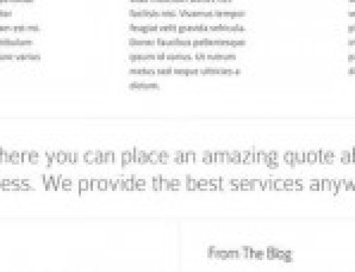 Trim Responsive WordPress Theme From ElegantThemes