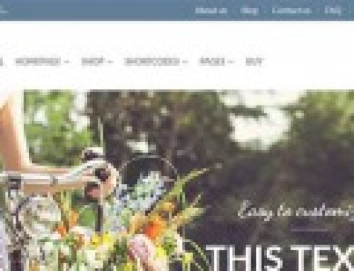FlatSome One Of Our Favorite Flat Responsive WooCommerce Themes