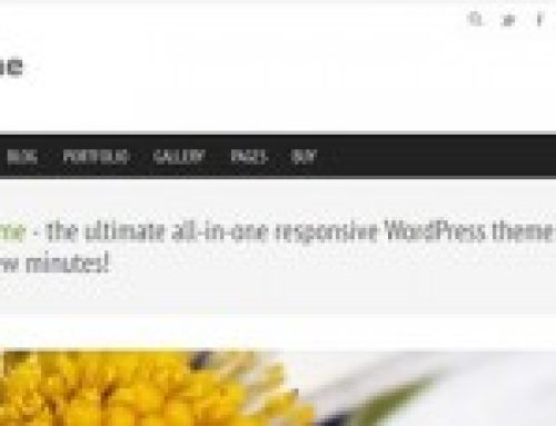 Natural Responsive WordPress Business / Portfolio Theme